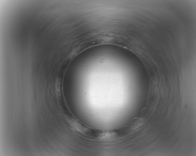 X0000066940274200604071920