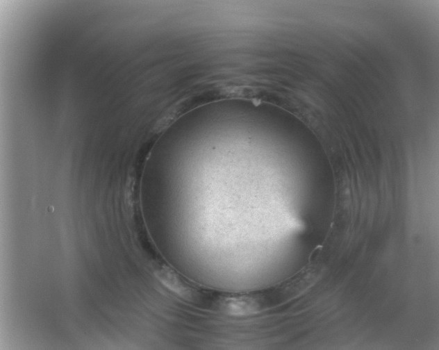 X0000066940275200604071920