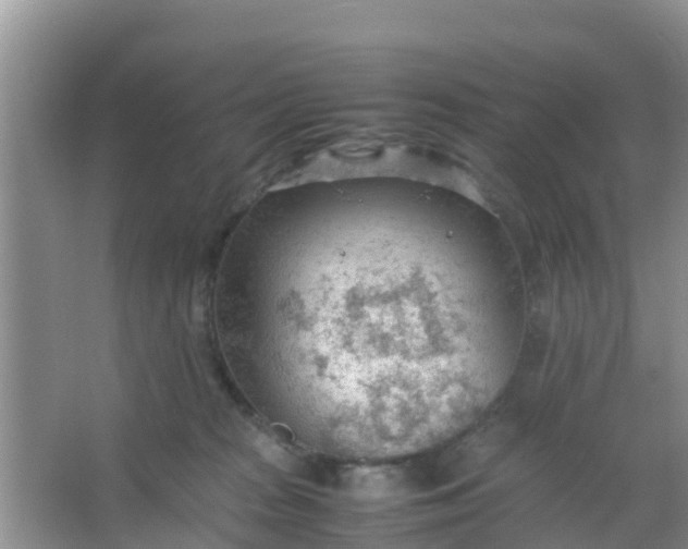 X0000066940277200604071920