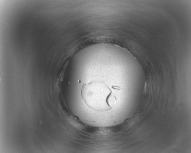 X0000066940278200604071920