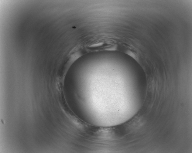 X0000066940280200604071920