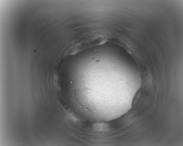 X0000066940281200604071920