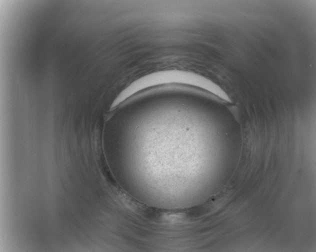 X0000066940283200604071920