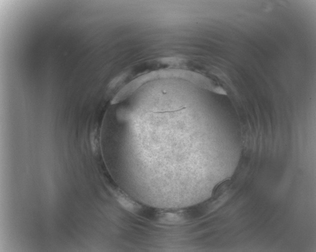 X0000066940285200604071920