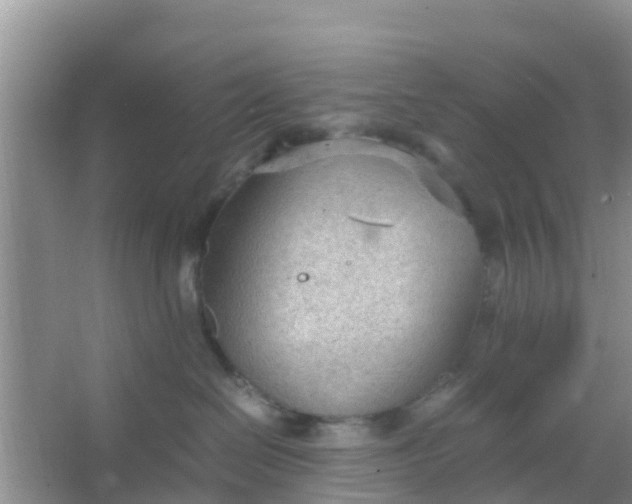 X0000066940286200604071920