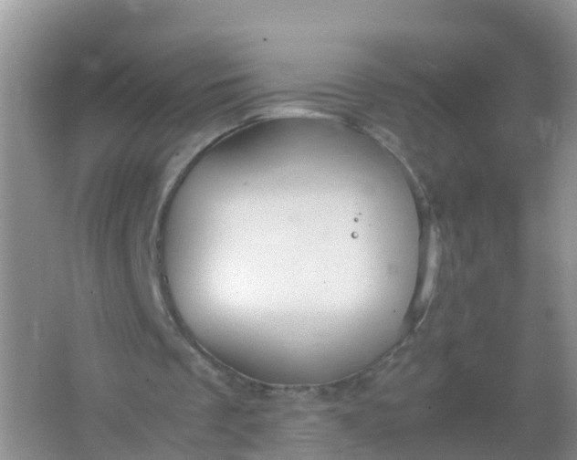 X0000066940289200604071919