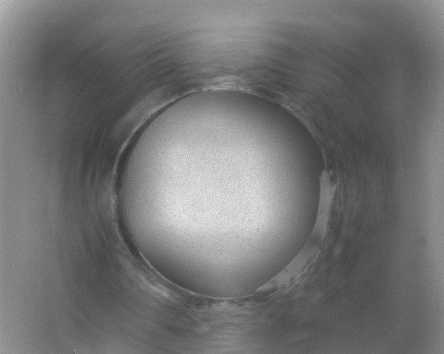 X0000066940290200604071919