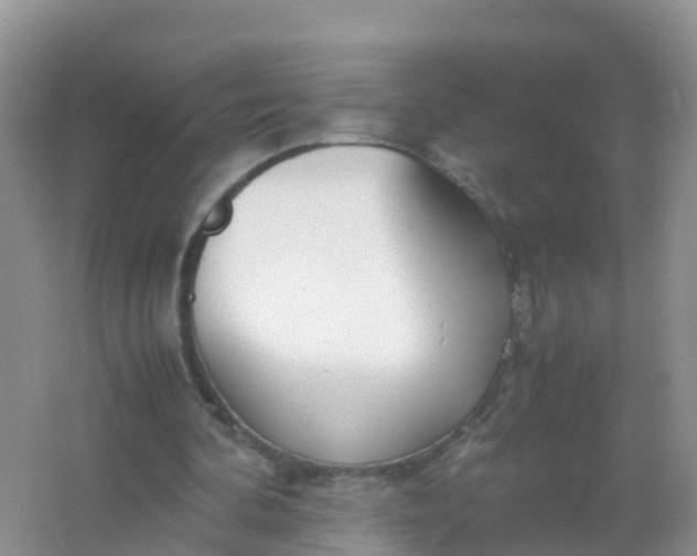 X0000066940292200604071919