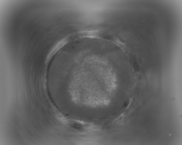 X0000066940293200604071919