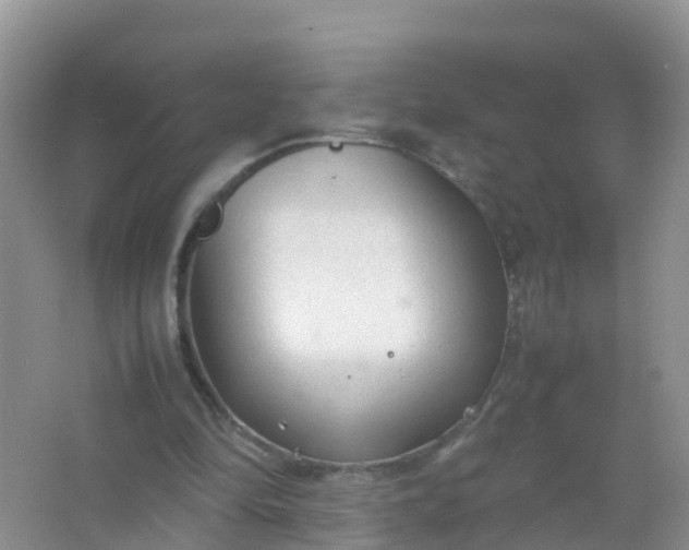 X0000066940294200604071919