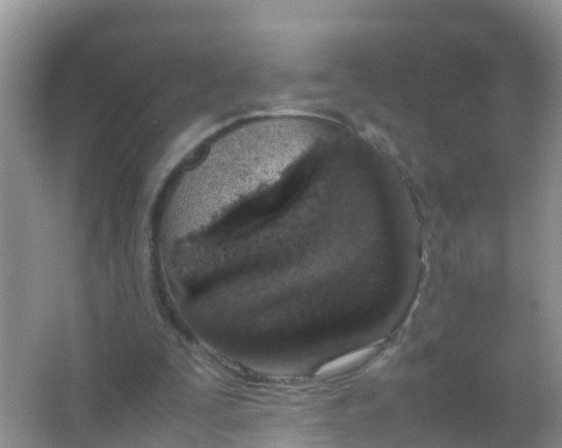 X0000066940295200604071919