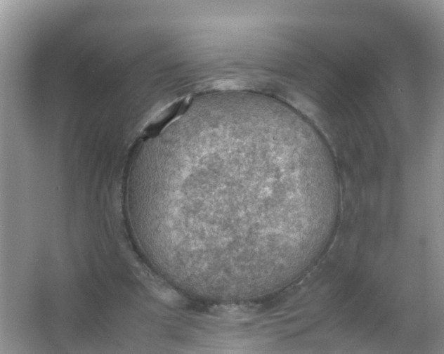 X0000066940297200604071919