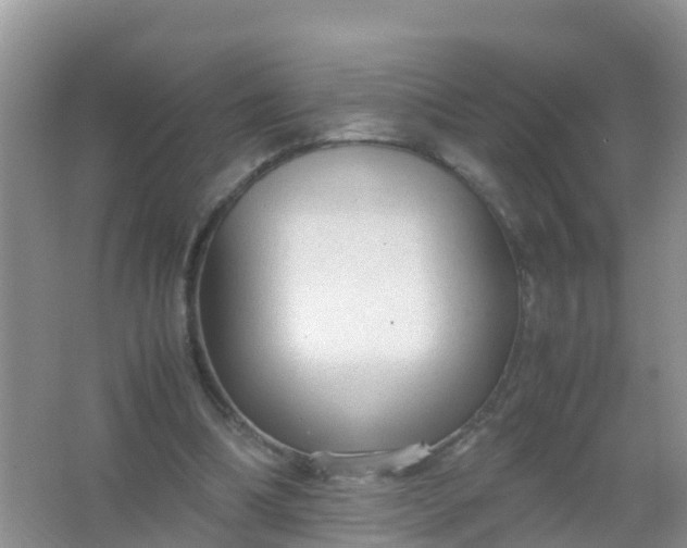 X0000066940298200604071919