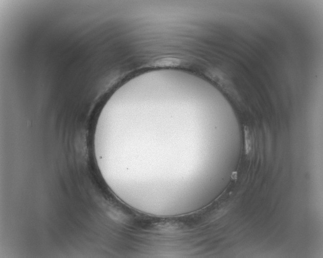 X0000066940300200604071919