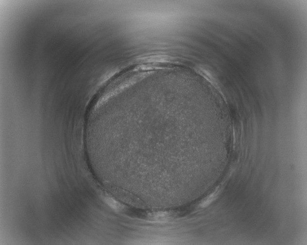 X0000066940301200604071919