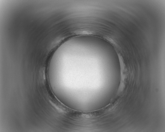 X0000066940302200604071919