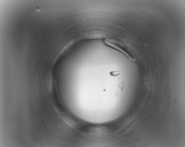 X0000066940304200604071919