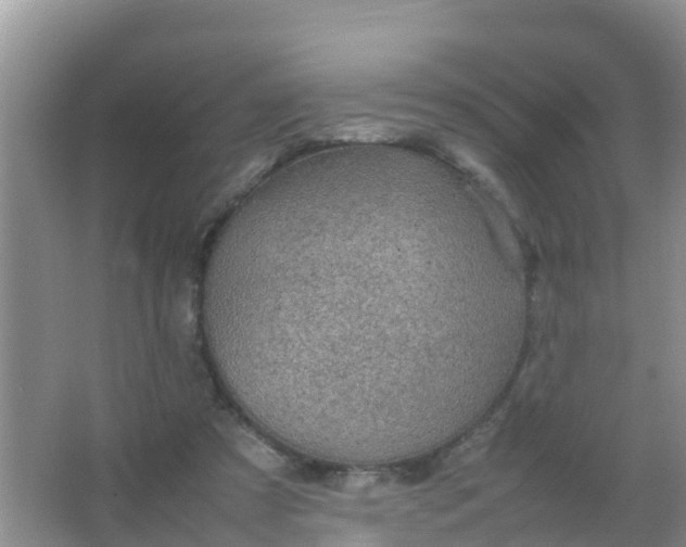 X0000066940305200604071919