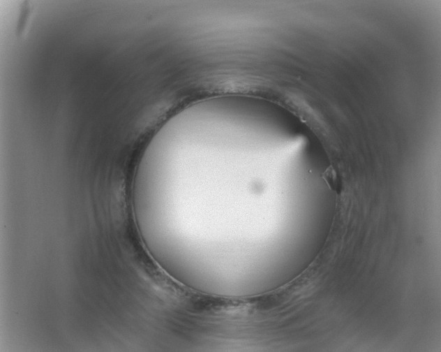 X0000066940306200604071919