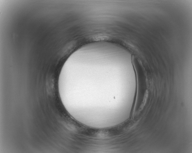 X0000066940308200604071919