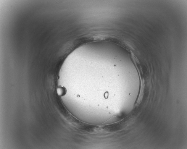 X0000066940311200604071919