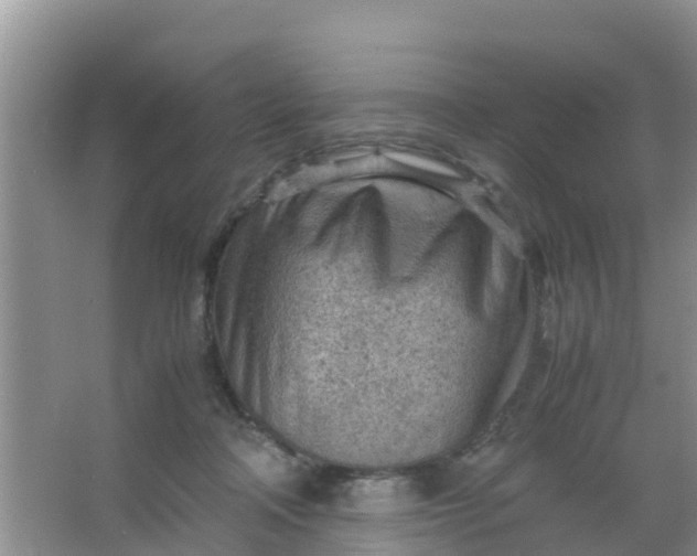 X0000066940314200604071919