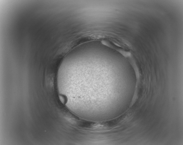 X0000066940315200604071919