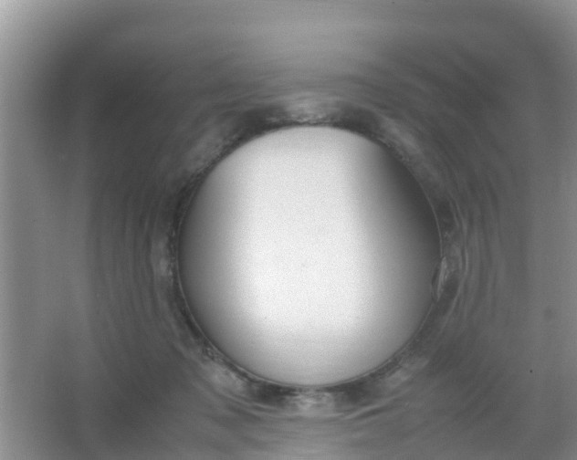 X0000066940317200604071919