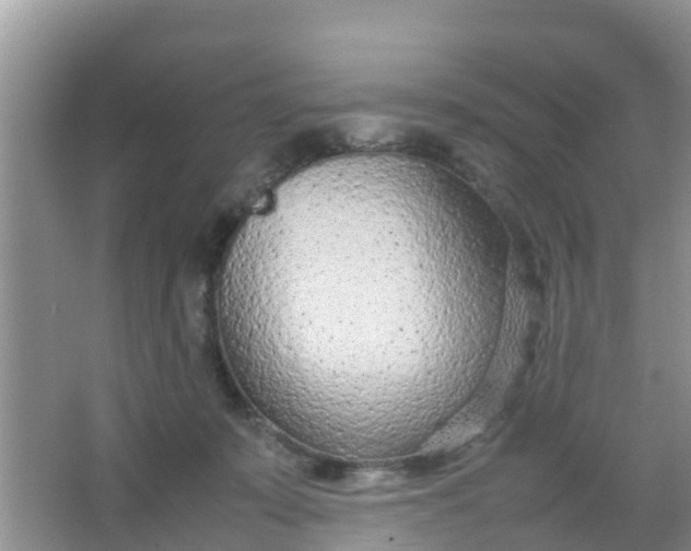 X0000066940319200604071919