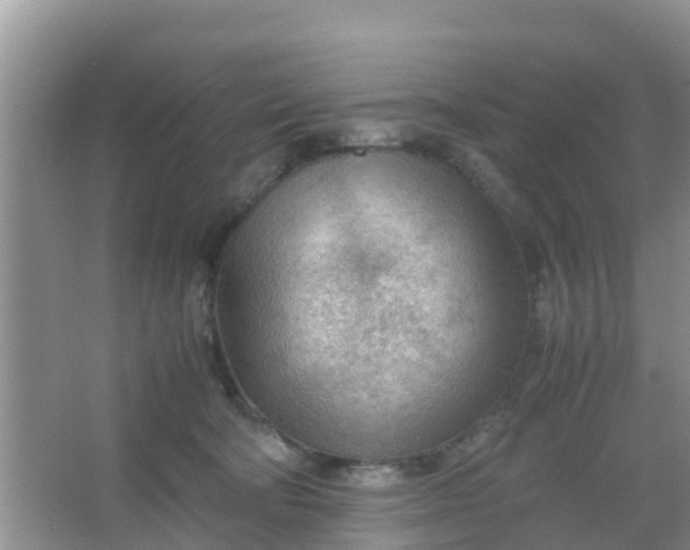 X0000066940322200604071919