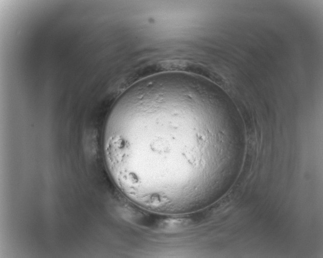 X0000066940323200604071919