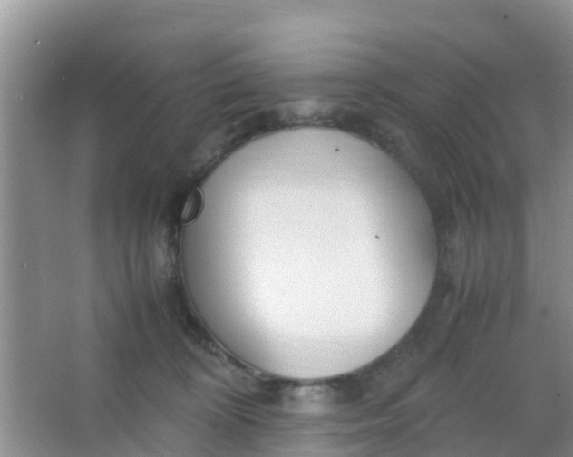 X0000066940324200604071919