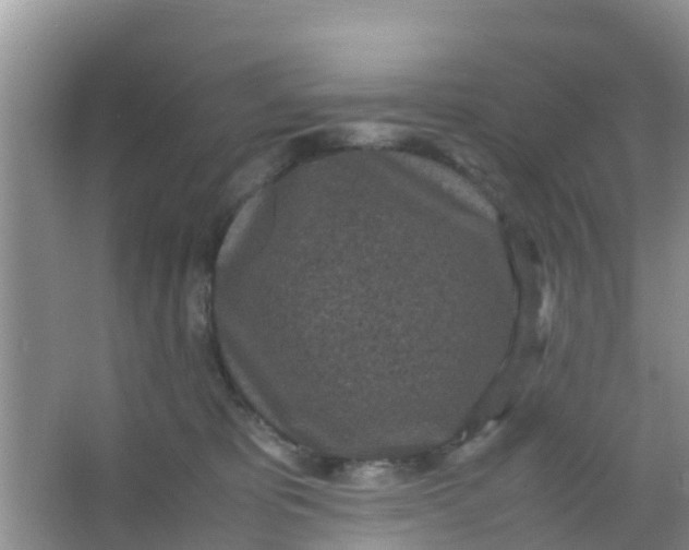 X0000066940325200604071919