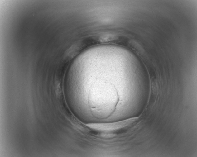 X0000066940327200604071919