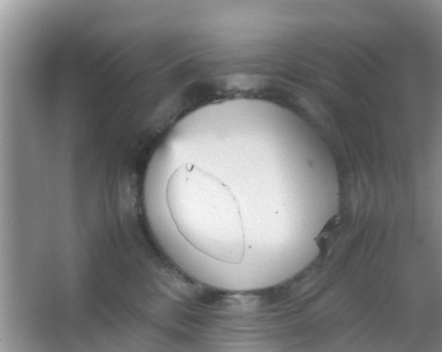 X0000066940328200604071919