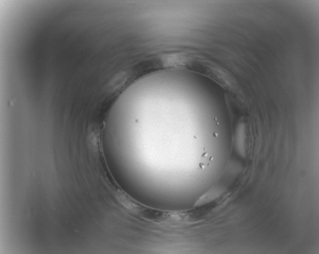 X0000066940329200604071919