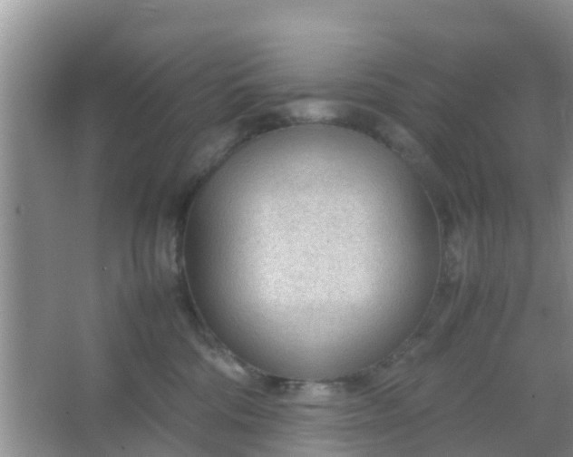 X0000066940330200604071919