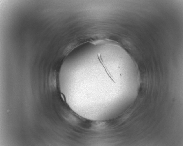 X0000066940334200604071919