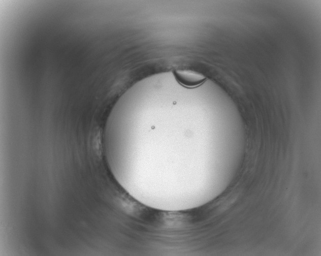 X0000066940336200604071919