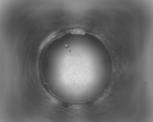 X0000066940341200604071918