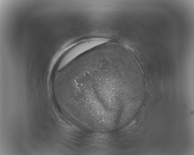 X0000066940343200604071918