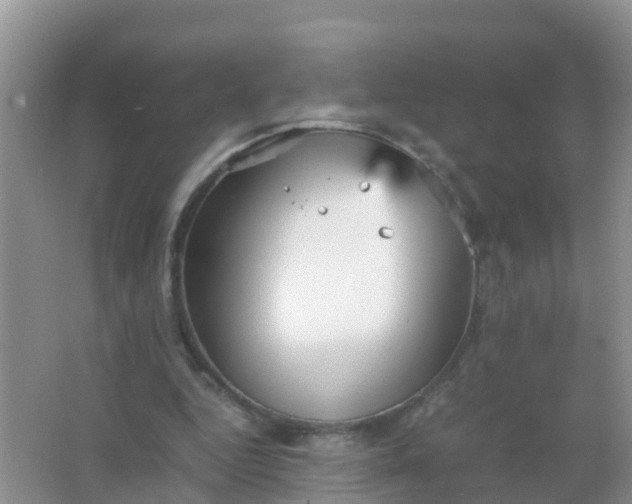 X0000066940344200604071918