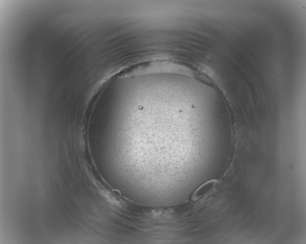 X0000066940345200604071918