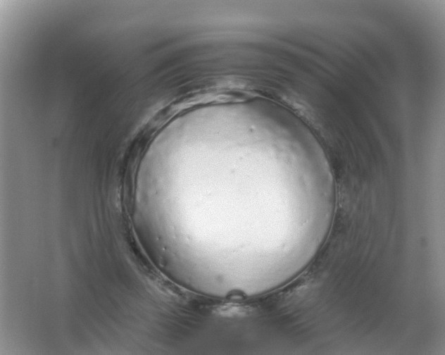 X0000066940347200604071918