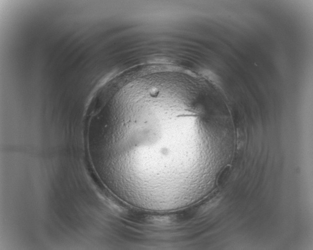 X0000066940349200604071918