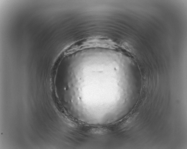 X0000066940351200604071918