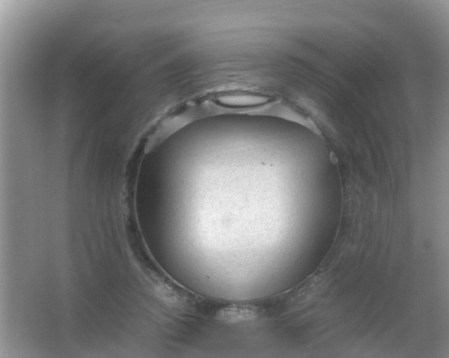 X0000066940354200604071918