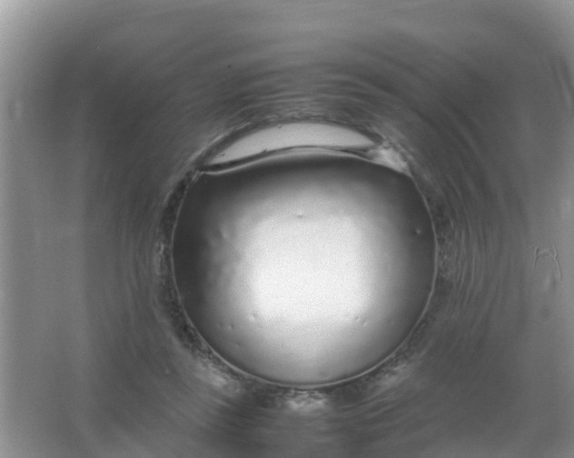 X0000066940355200604071918