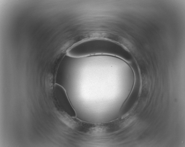 X0000066940356200604071918