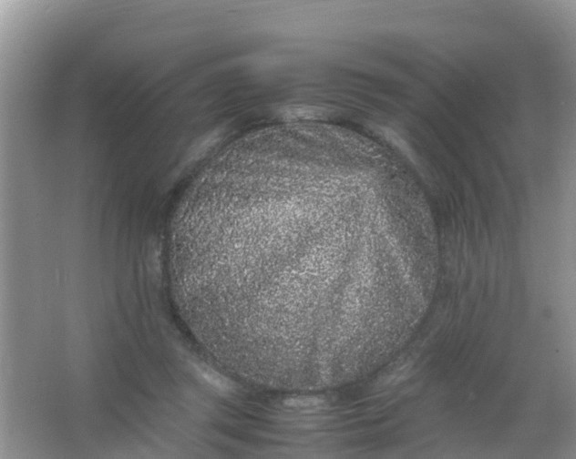 X0000066940357200604071918